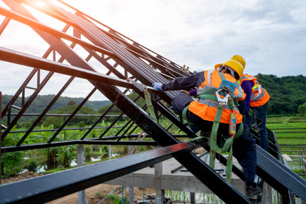 Professional Roofing Contractor in El Jebel, CO